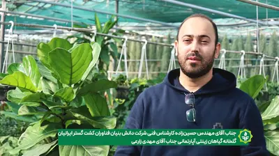 مهدی زارعی