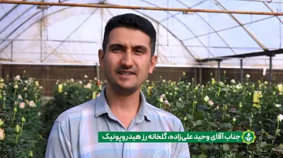 آقای وحید علیزاده