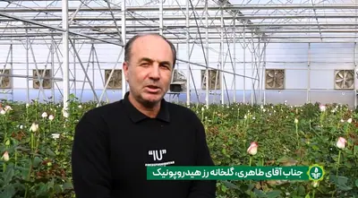 آقای طاهری