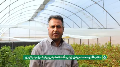 آقای محمد مهدی زارعی
